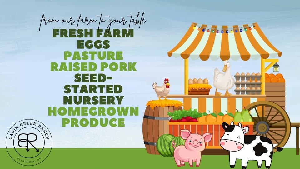 Cabin Creek Ranch, LLC, from their own business page