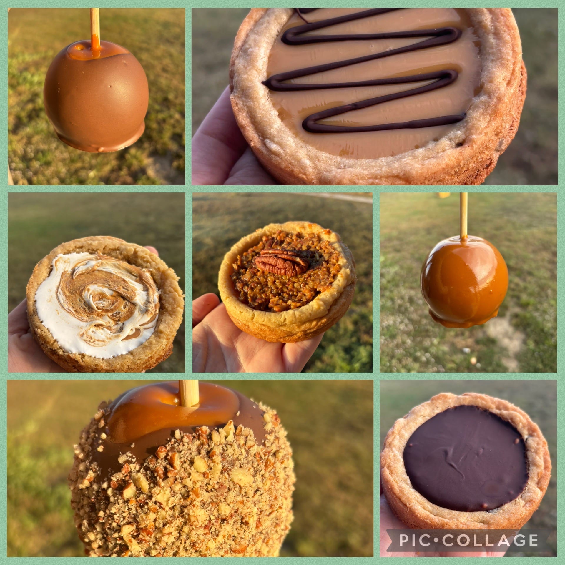 TEENSY TURTLE FARM STAND